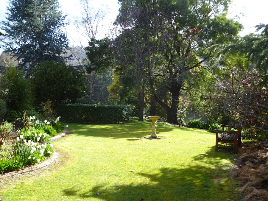 Expansive Donalea gardens in Castle Forbes Bay, Tasmania
