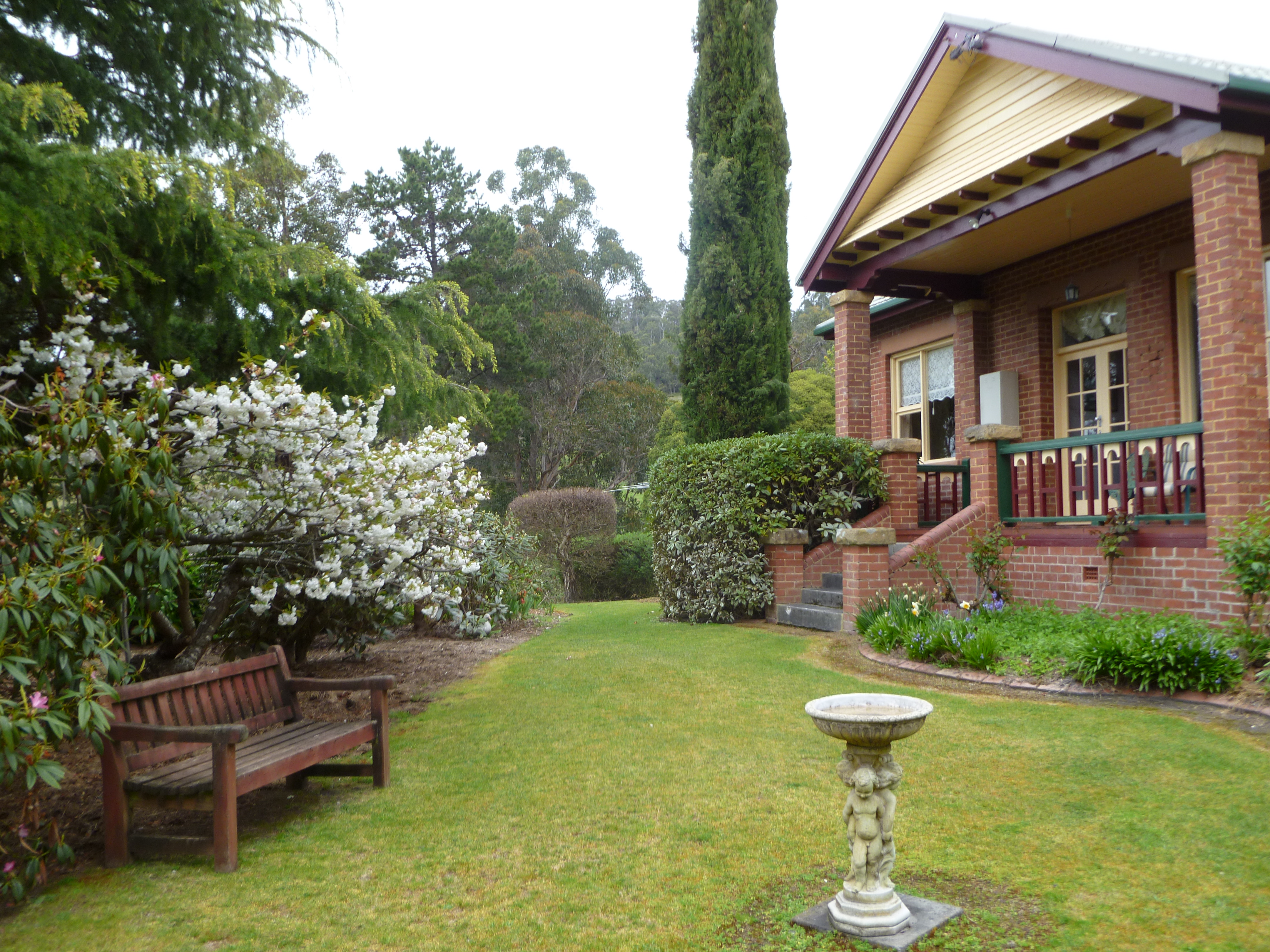 Tree Dahlia framing the Huon River