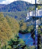 The Tahune Forest Airwalk